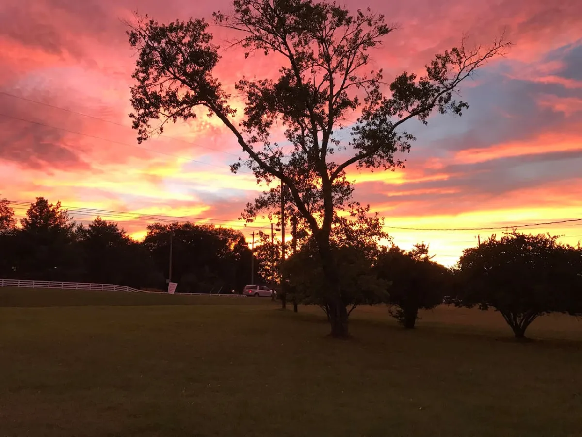 An exterior shot focusing on a vibrant sunset sky above a green lawn with a silhouetted tree. The warm, golden light captures the magic of country evenings and the tranquil beauty of the outdoor setting.
